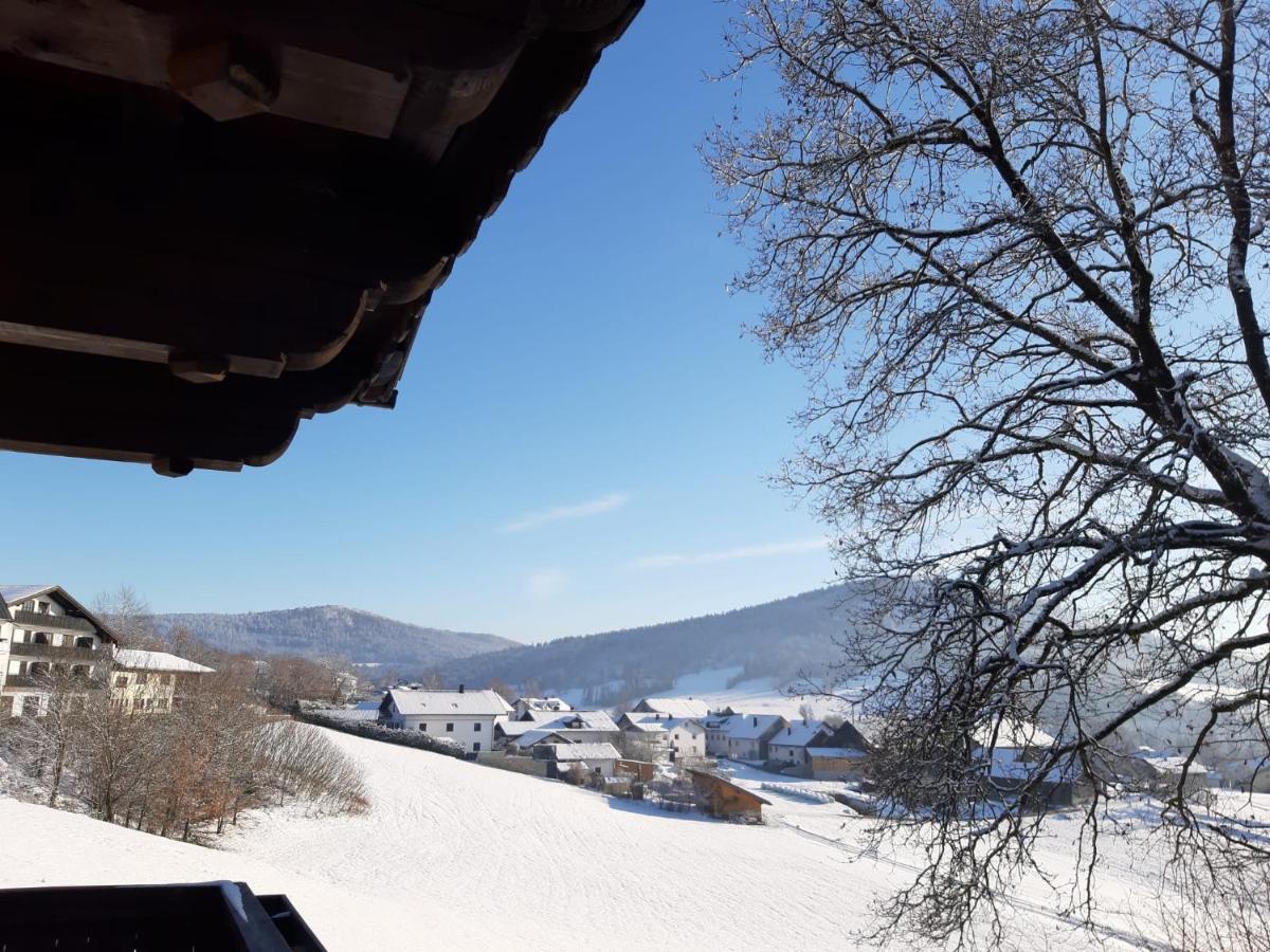 Ferienwohnung Freudensee Im Bayerischen Wald - Pool, Sauna Hauzenberg Exteriér fotografie