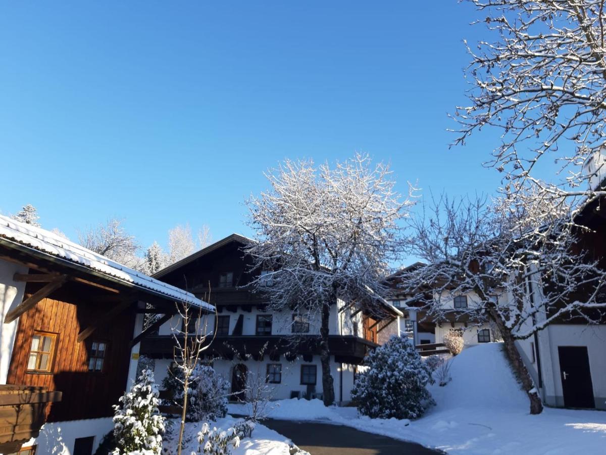 Ferienwohnung Freudensee Im Bayerischen Wald - Pool, Sauna Hauzenberg Exteriér fotografie